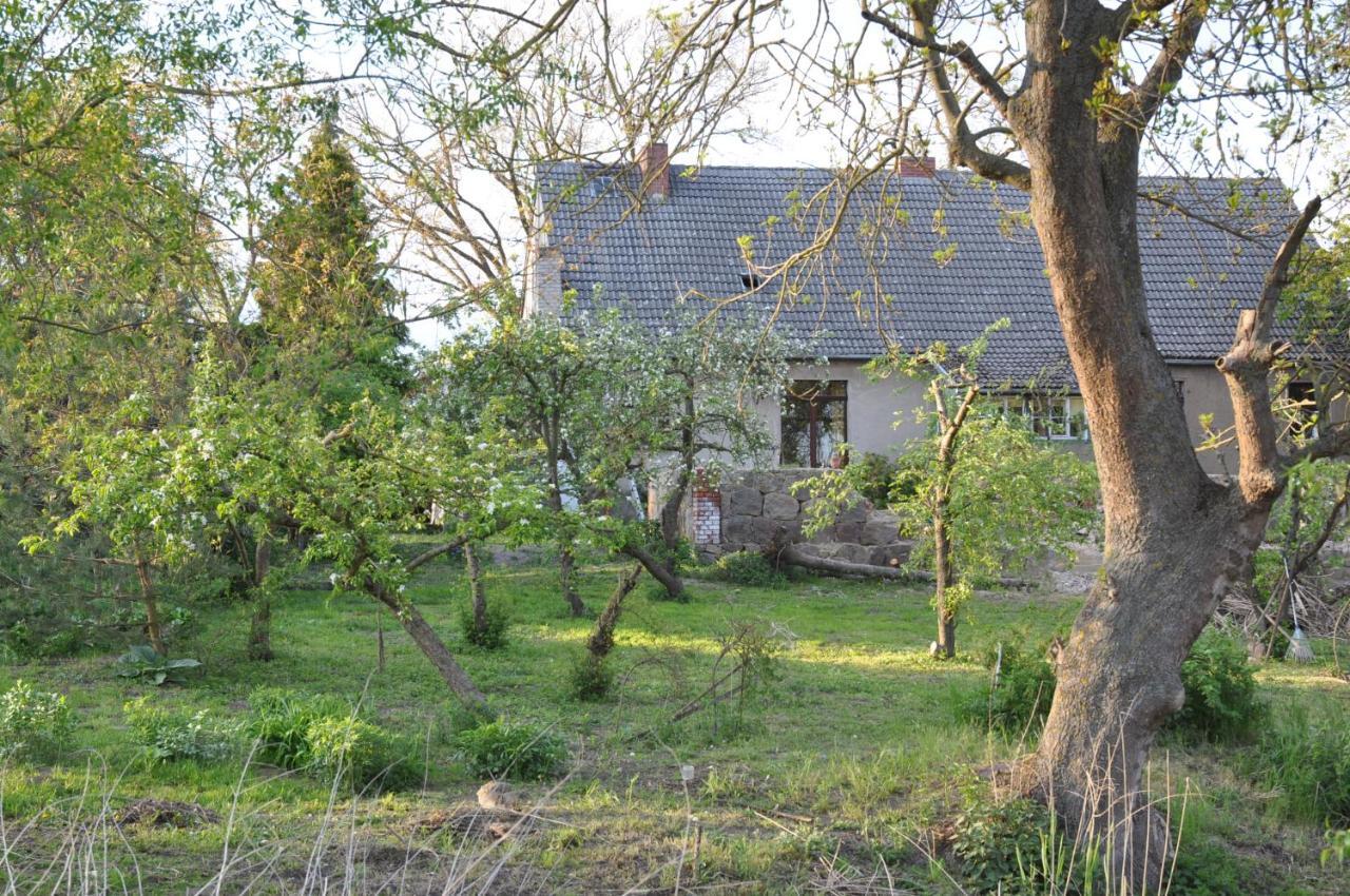 Ferienhaus Caselow 23 Bergholz Exterior photo